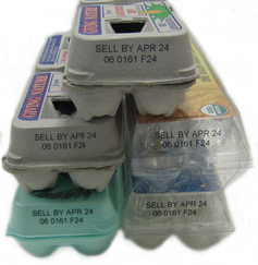Printed Egg Cartons white background